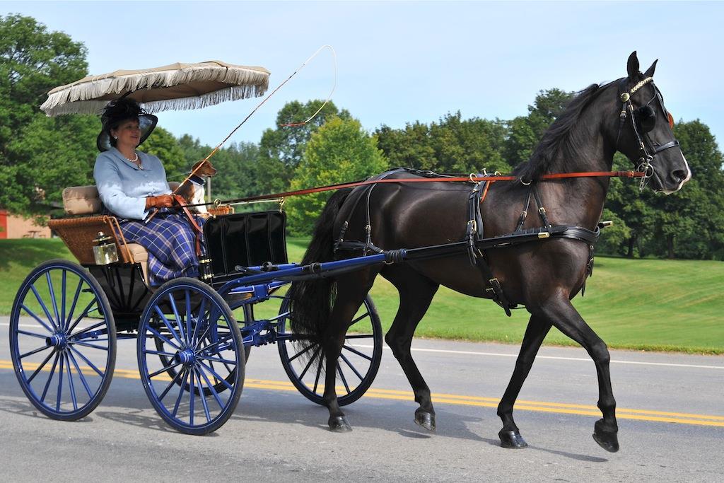 Antique Wicker Pony Phaeton for sale